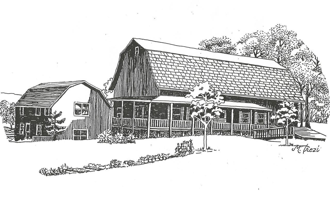Dundee The South Glenora Tree Farm Bed & Breakfast エクステリア 写真
