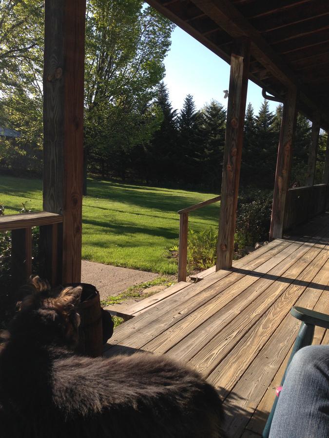 Dundee The South Glenora Tree Farm Bed & Breakfast エクステリア 写真