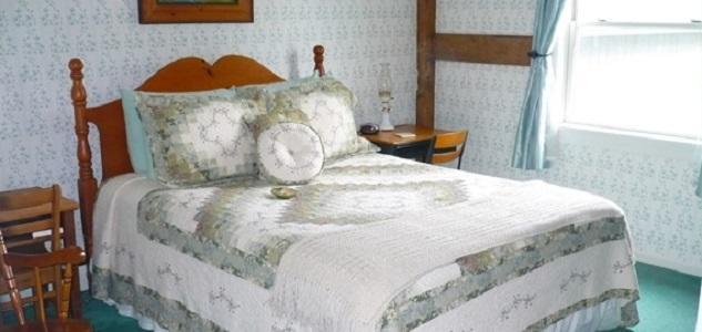 Dundee The South Glenora Tree Farm Bed & Breakfast エクステリア 写真