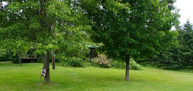 Dundee The South Glenora Tree Farm Bed & Breakfast エクステリア 写真